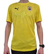 PUMA Fenerbahce Istanbul Trainings Jersey Herren Trainings-Shirt Sport...