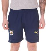 PUMA Fenerbahce Istanbul Trainingshose Herren Sport-Shorts Fußball Fan...