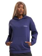 TheJoggConcept Sage Hoodies mittelalterlich blau